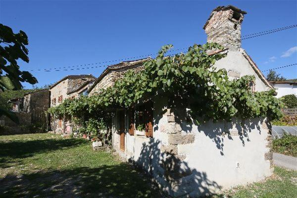 Villa Istrian Experience à Socerga Extérieur photo
